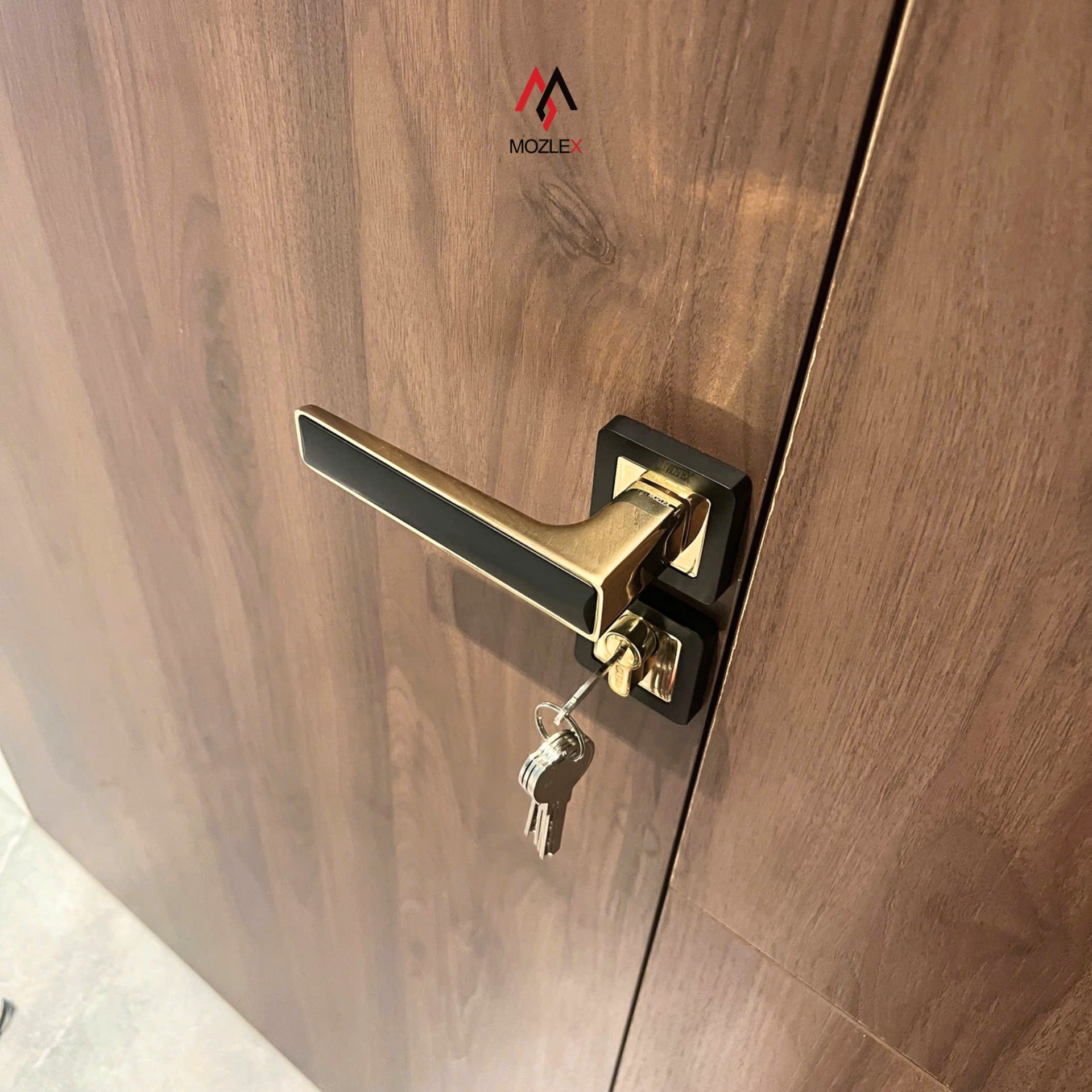 655559468_122349437636017197_4709414402950018955_n